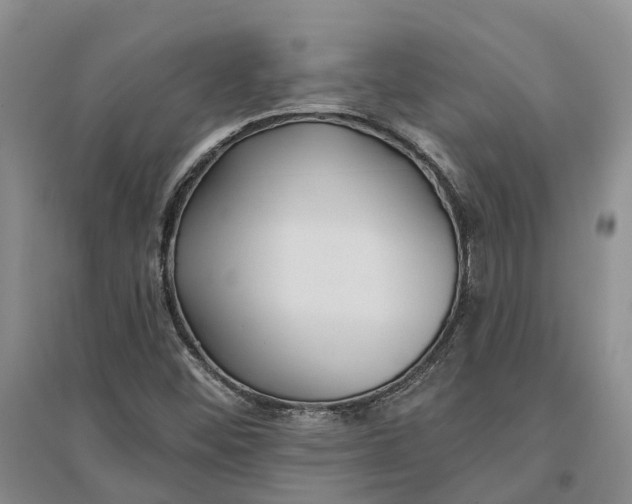 X0000096691452200802261528