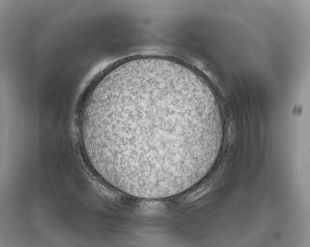 X0000096691454200802261528