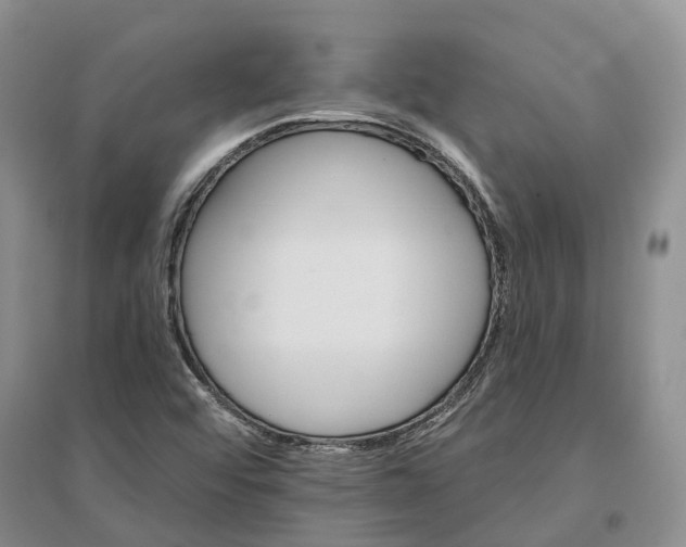 X0000096691456200802261528