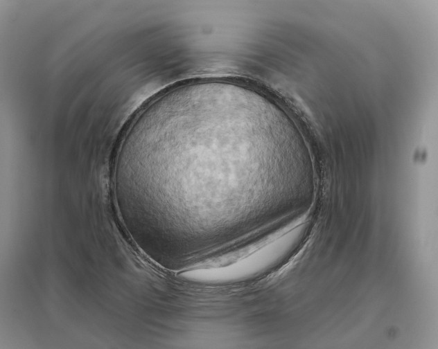 X0000096691457200802261528