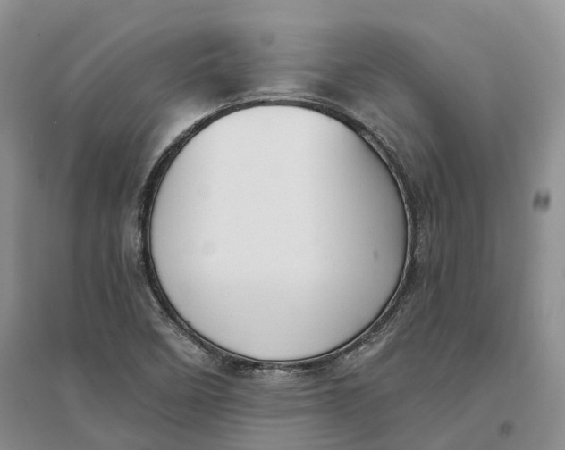 X0000096691458200802261528