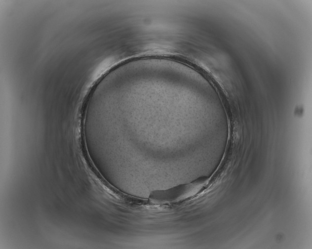 X0000096691459200802261528