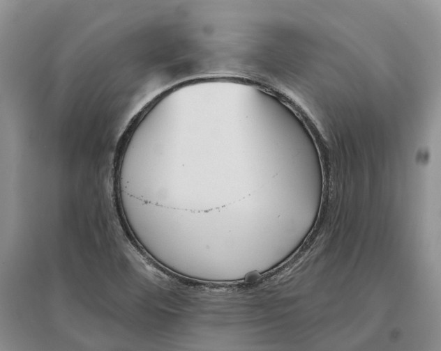 X0000096691460200802261528