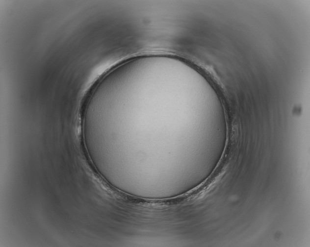 X0000096691461200802261528