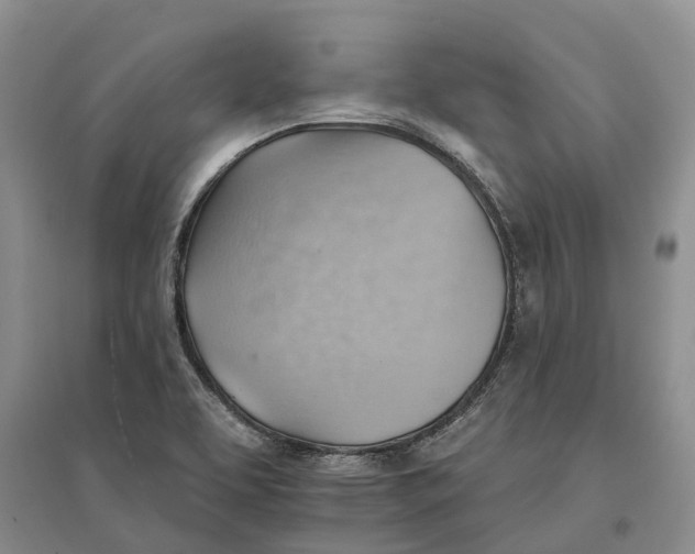 X0000096691463200802261528