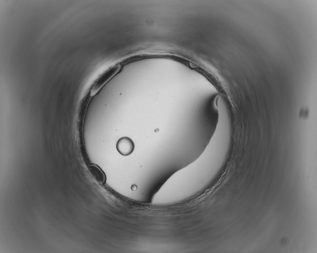 X0000096691464200802261528