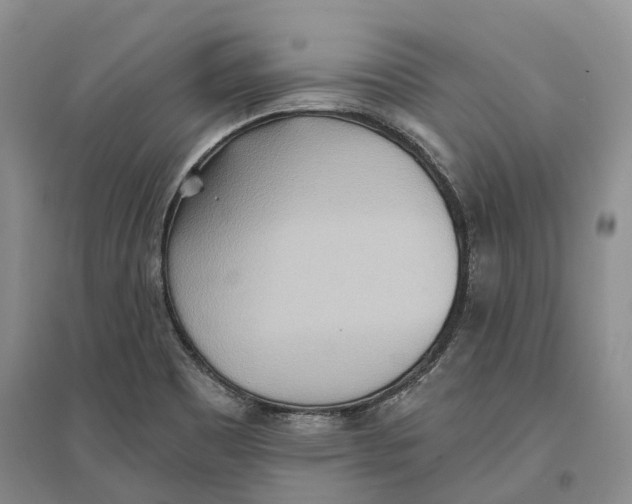 X0000096691465200802261528