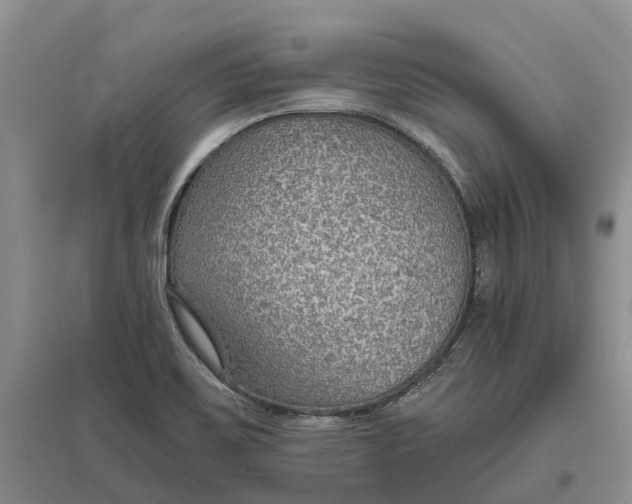 X0000096691467200802261528