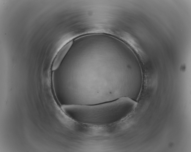 X0000096691468200802261528