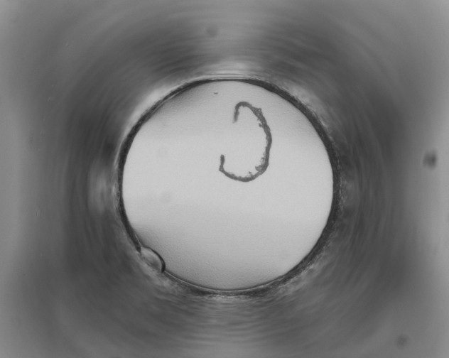 X0000096691469200802261528