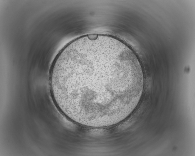 X0000096691470200802261528