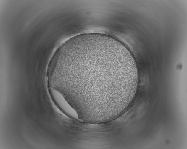 X0000096691471200802261528