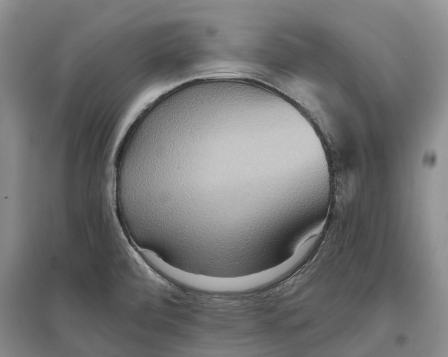 X0000096691472200802261528