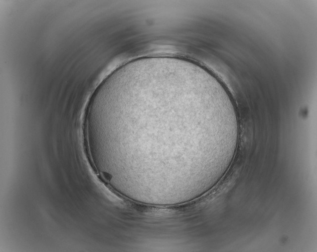 X0000096691475200802261528