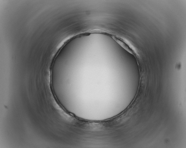 X0000096691476200802261528