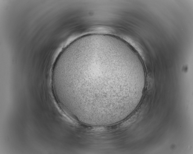 X0000096691477200802261528