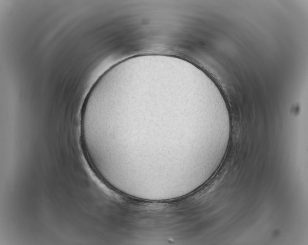 X0000096691479200802261528