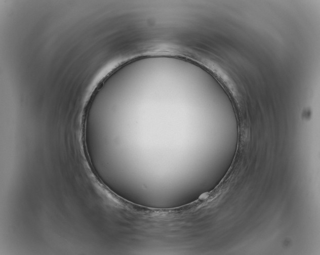 X0000096691480200802261528