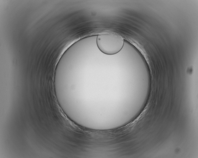 X0000096691481200802261528