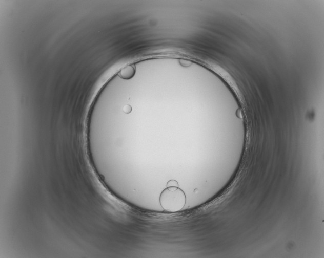 X0000096691482200802261528