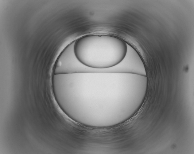 X0000096691483200802261528