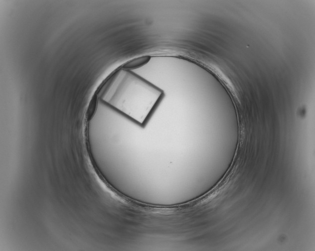 X0000096691484200802261528