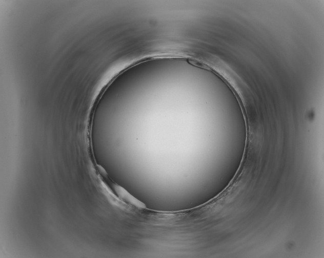 X0000096691485200802261528