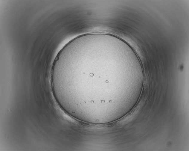 X0000096691486200802261528