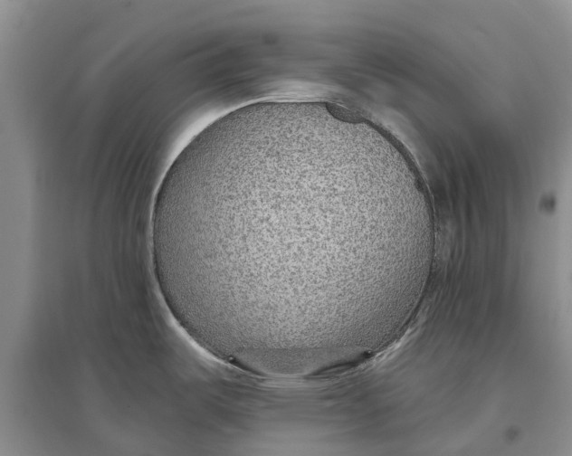 X0000096691487200802261528