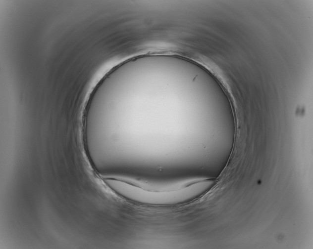 X0000096691488200802261528