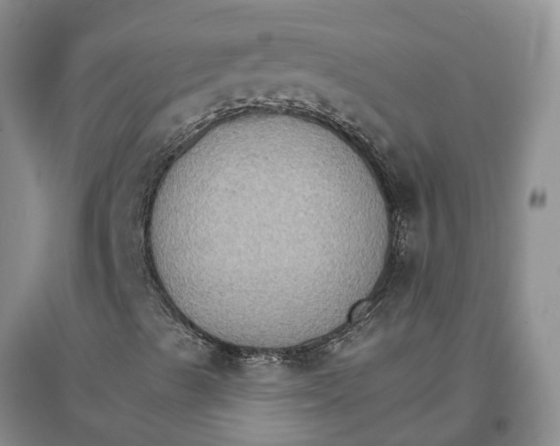 X0000096691489200802261527