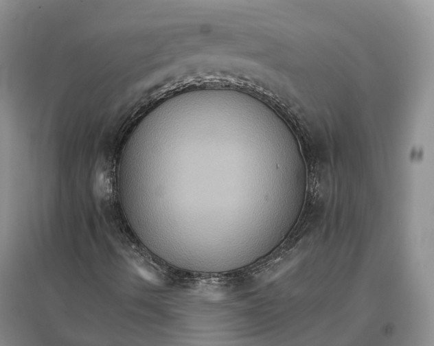 X0000096691490200802261527