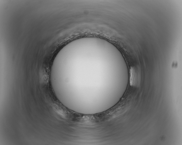 X0000096691491200802261527