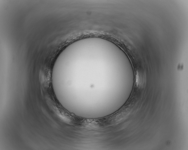 X0000096691492200802261527