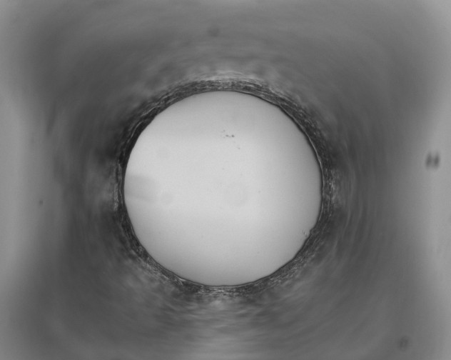 X0000096691493200802261527