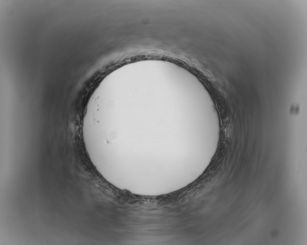 X0000096691495200802261527