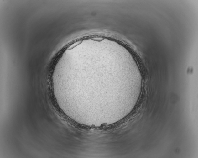 X0000096691496200802261527