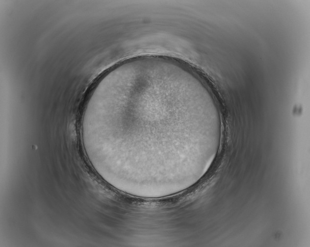 X0000096691497200802261527