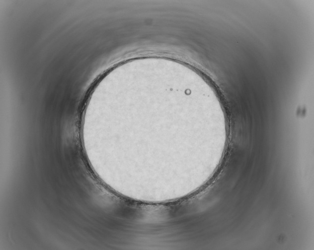 X0000096691498200802261527