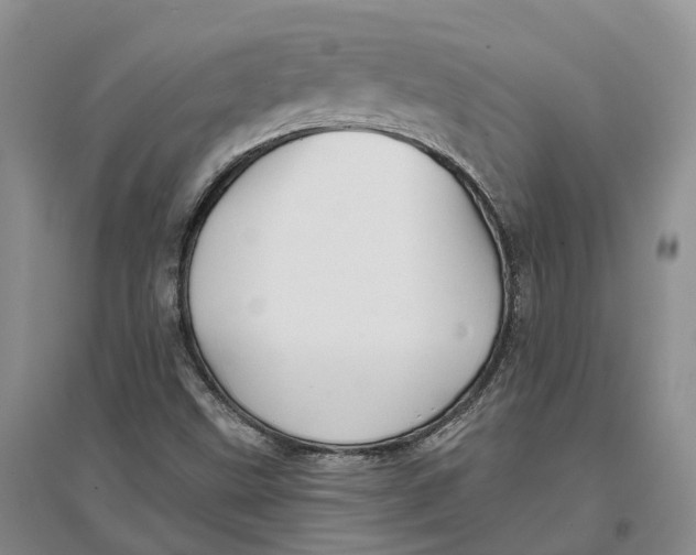 X0000096691499200802261527