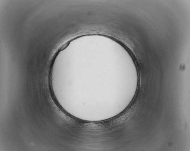 X0000096691500200802261527