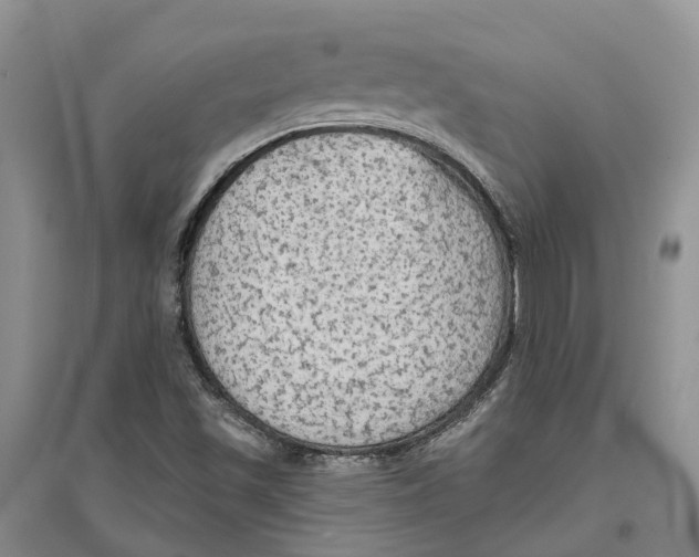 X0000096691501200802261527