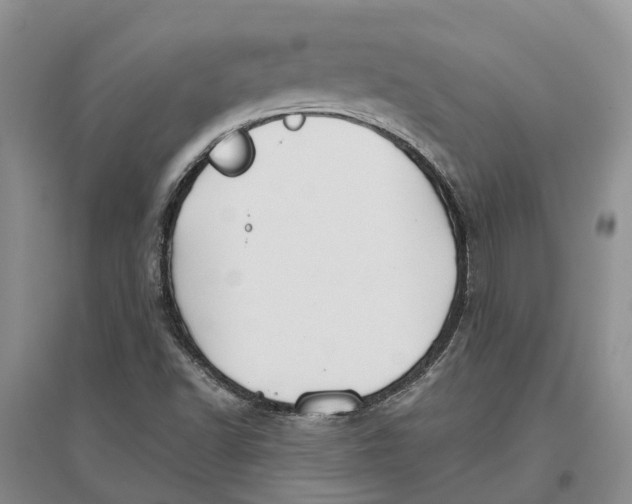 X0000096691502200802261527