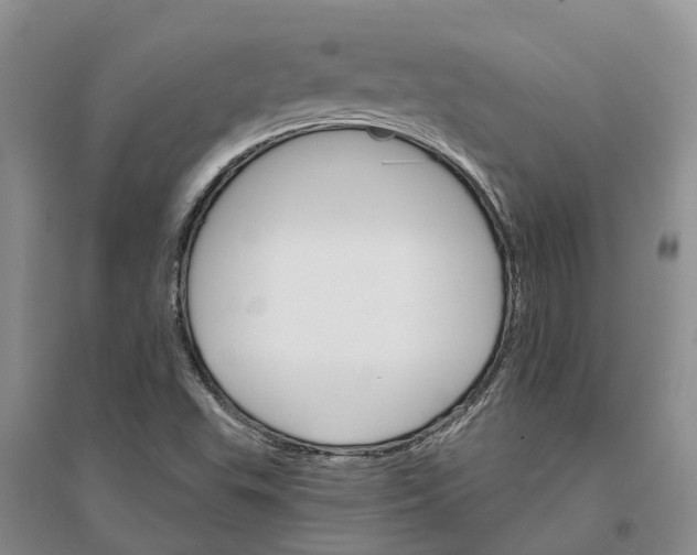 X0000096691503200802261527