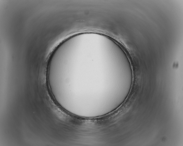 X0000096691504200802261527