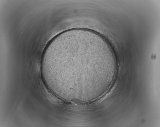 X0000096691505200802261527