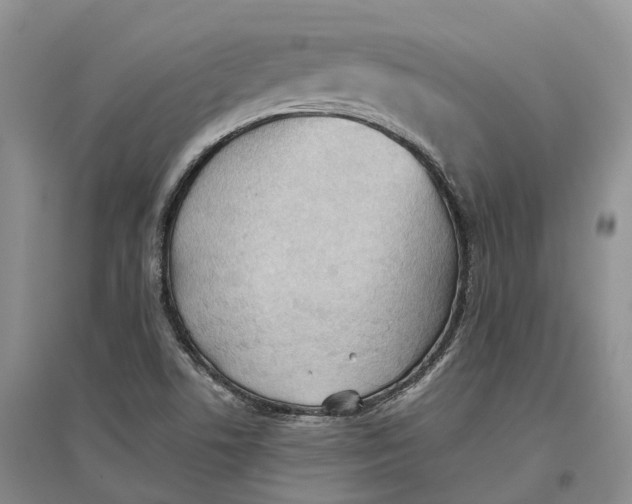 X0000096691506200802261527