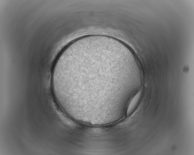 X0000096691507200802261527