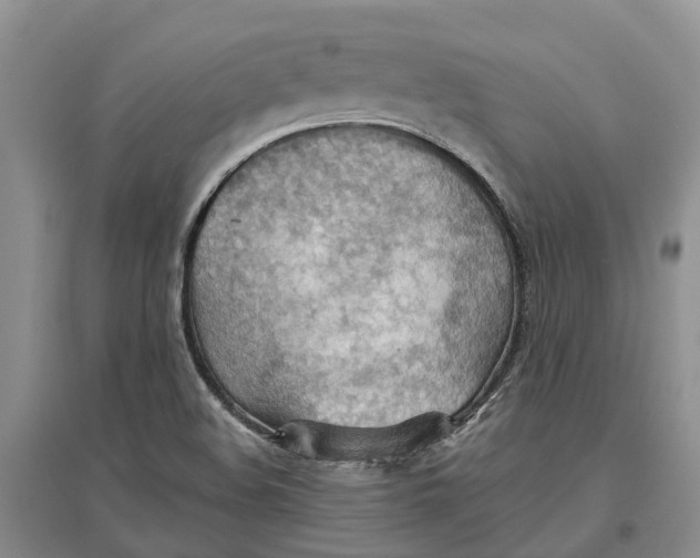 X0000096691508200802261527