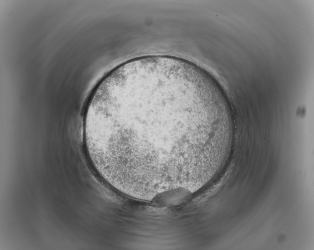 X0000096691509200802261528